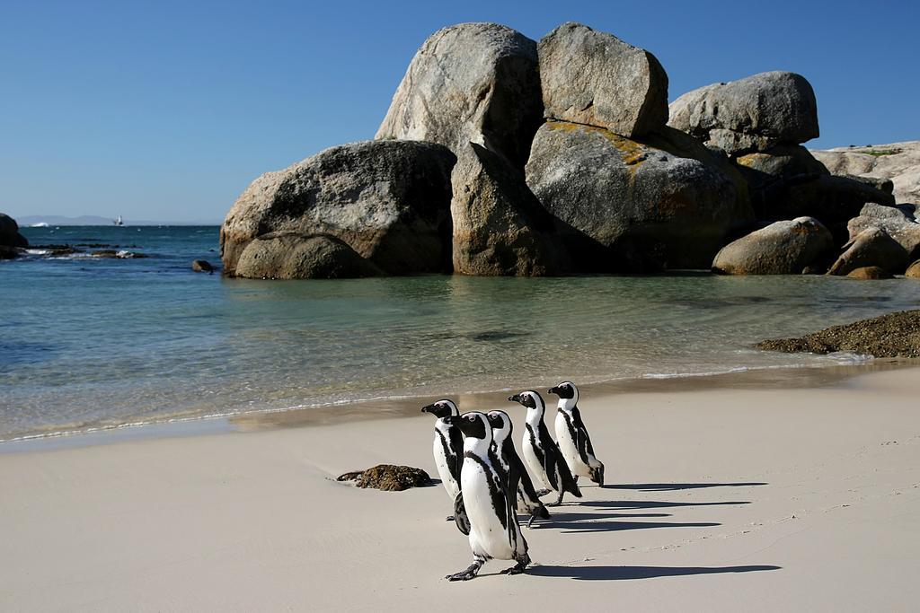 Roman Rock Apartments Simonʼs Town Exteriör bild